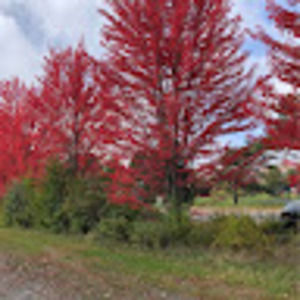 Meet your Posher, Blue